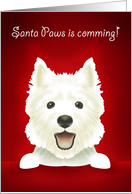 Santa Paws, white Puppy card