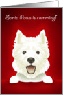 Santa Paws, white Puppy card