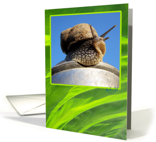On Top Of The World card (571255)