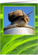 On Top Of The World card
