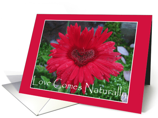 Love Comes Naturally card (573517)