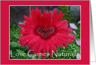 Love Comes Naturally