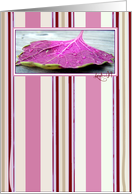 Coleus leaf card
