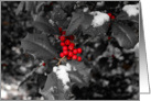 Holiday Holly Berries - Black and White card