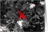 Holly Jolly Christmas card