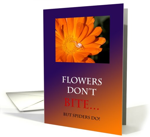 Flowers Don't Bite Birthday card (656721)
