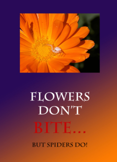 Flowers Don't Bite...
