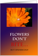 Flowers Don’t Bite Anniversary Card