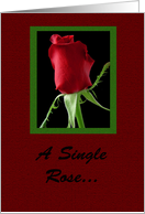 Happy Birthday, A Single Rose card