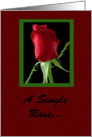 Happy Birthday, A Single Rose card