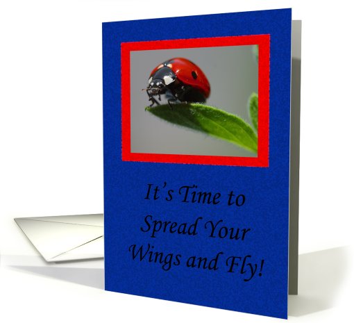 Ladybug College Graduation card (656834)