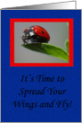 Ladybug College Graduation Card