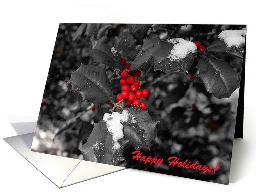 Happy Holidays - Black and White Holly card (657926)