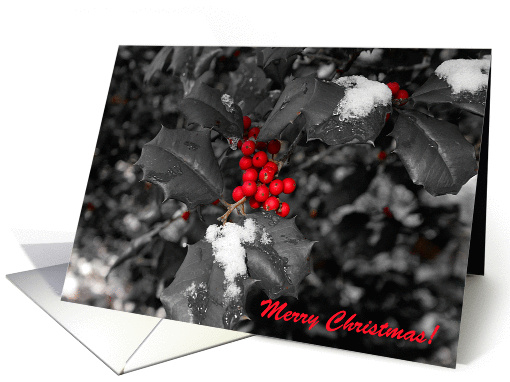 Merry Christmas & Happy Belated Birthday card (659341)