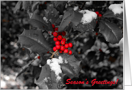 Season's Greetings -...