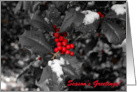 Season’s Greetings - Black and White Holly card