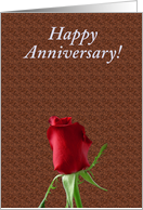 Rose - Happy Anniversay card