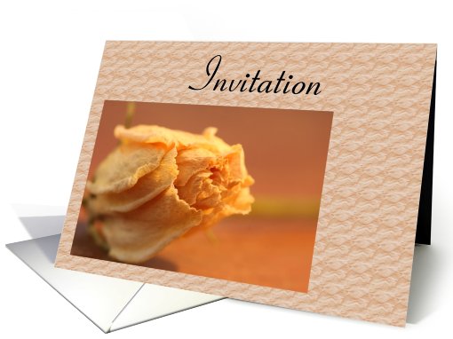 Invitation - Dried Rose card (687548)