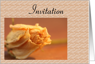 Invitation - Dried Rose card