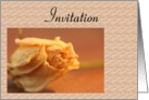 Invitation - Dried Rose card