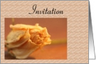 Invitation - Dried Rose card