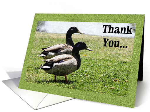 Thank You - Mallard Ducks card (688224)