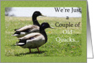 Wedding Anniversary Invitation - Old Quacks card