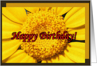 Yellow Flower Birthday Card