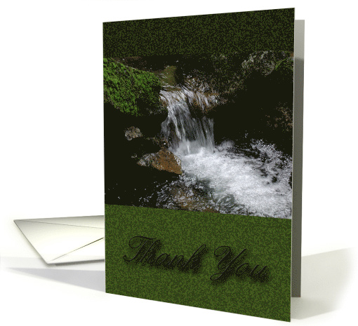 Elegant Green Thank You card (830236)