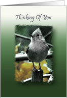 Thinking of you card