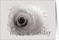 Shell Birthday