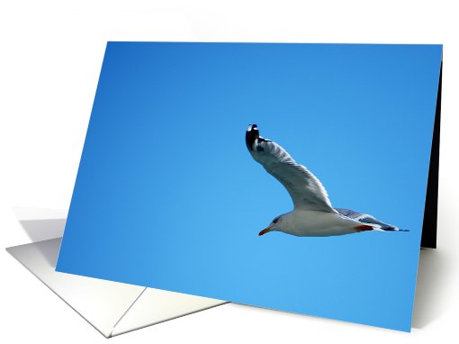 Freedom card (581950)