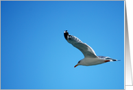Freedom card