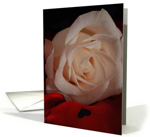 Pure Beauty Birthday Greeting card (586966)