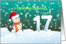 17th Birthday on Christmas - Snowman and Snow card