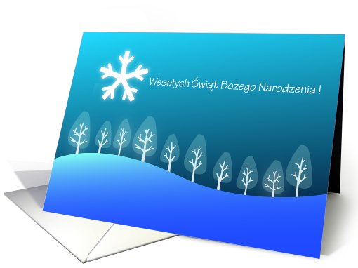 Polish Merry Christmas - Wesolych Swiat Bozego Narodzenia card