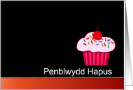 Welsh Happy Birthday - Penblwydd Hapus card