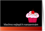 Czech Happy Birthday - Vechno nejlep k narozeninm card
