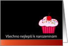 Czech Happy Birthday - Vechno nejlep k narozeninm card
