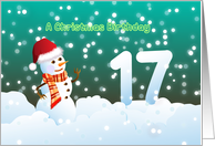 17th Birthday on Christmas - Snowman and Snow card