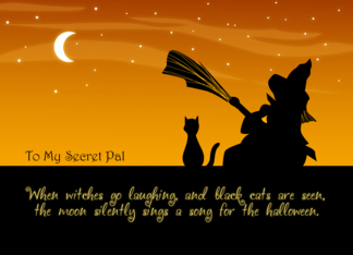 To My Secret Pal on Halloween - Witch and Cat
