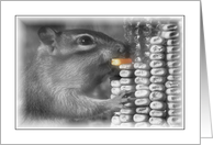 Wildlife - Chipmunk card