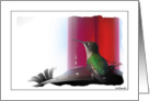 Nature - Hummingbird card