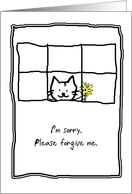 I’m Sorry Cat Flower card