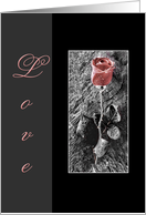 Love To Significant Other Rose card