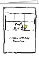Birthday Grandma Cat card