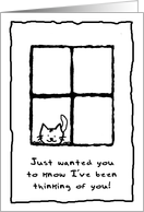 Thinking Of You Kitten in Window card