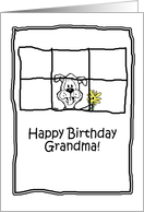 Birthday Grandma...