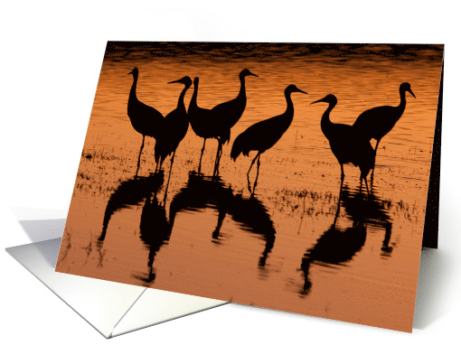 Sandhill Cranes Sunset Silhouettes - Party Invitation card (593522)