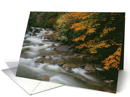 Autumn River Cascades (I) - Blank Note card (595036)